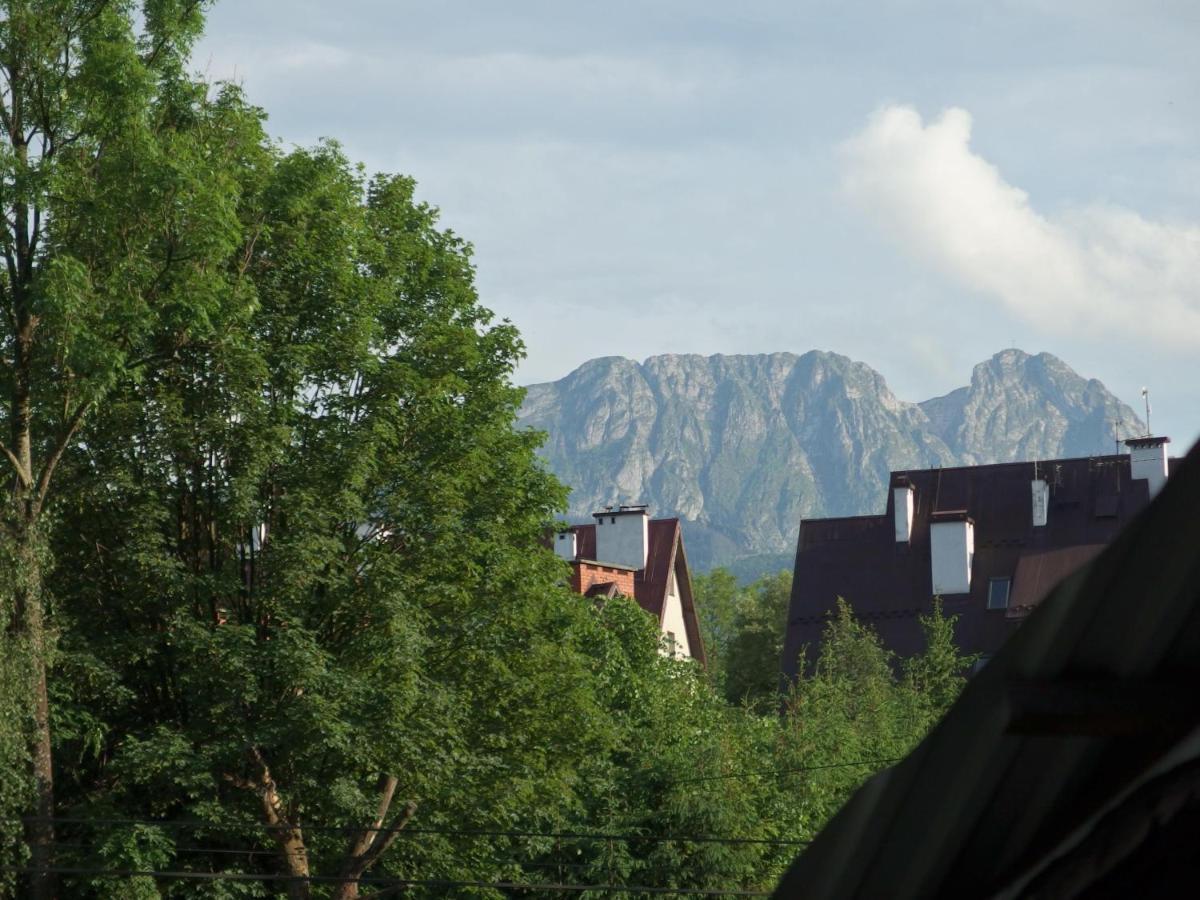 Misia Chata Zakopane Eksteriør bilde